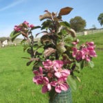 2014-05-03-11.24.13-150x150