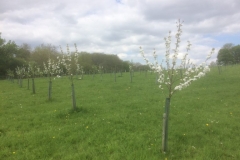 2016-05-15-14.35.29-768x576