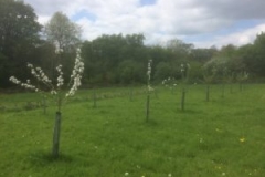 2016-05-15-14.35.39-300x225