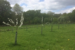 2016-05-15-14.35.39-768x576