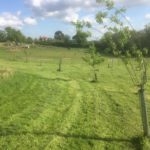 2016-05-15-17.31.58-150x150