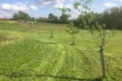 2016-05-15-17.31.58-300x225