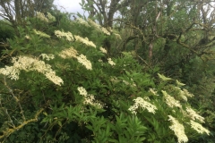 2016-06-12-17.43.05-1024x768