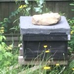 2016-06-26-11.10.28-150x150