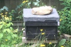 2016-06-26-11.10.28-300x225