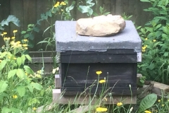 2016-06-26-11.10.28-768x576