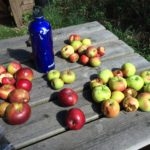 2016-08-29-14.05.17-150x150