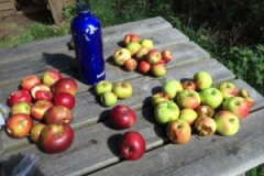 2016-08-29-14.05.17-300x225