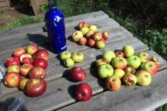 2016-08-29-14.05.17-768x576