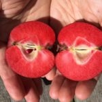 2016-08-29-14.32.31-150x150