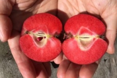 2016-08-29-14.32.31-300x225