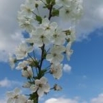 20160515_163025-150x150