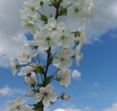 20160515_163025-300x169