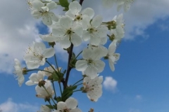 20160515_163025-768x432