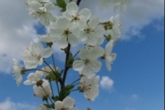 20160515_163025