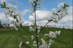 20160515_163035-1024x576