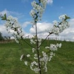 20160515_163035-150x150