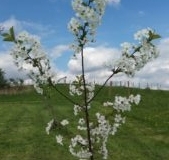 20160515_163035-300x169