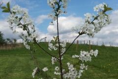 20160515_163035