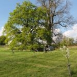 20160515_172338-150x150