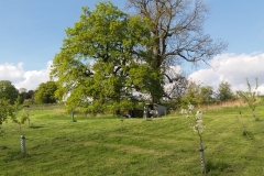 20160515_172338