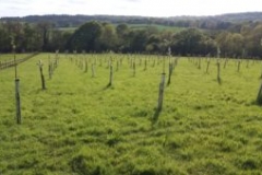 20160515_173602-300x169