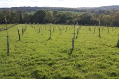 20160515_173602-768x432