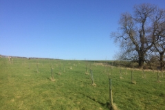 2017-03-15-15.32.32-1024x768