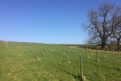 2017-03-15-15.32.32-300x225