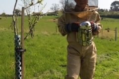 2017-04-09-14.23.29-1024x576