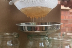 2017-04-17-18.14.35-1024x768