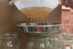 2017-04-17-18.14.35-768x576