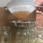 2017-04-17-18.14.35-e1503436600259-150x150