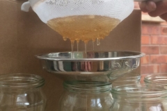 2017-04-17-18.14.35-e1503436600259-768x1024