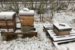 Snow on beehives