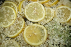 Making Elderflower cordial