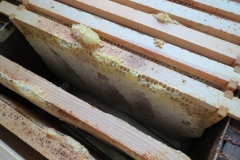Honey frames